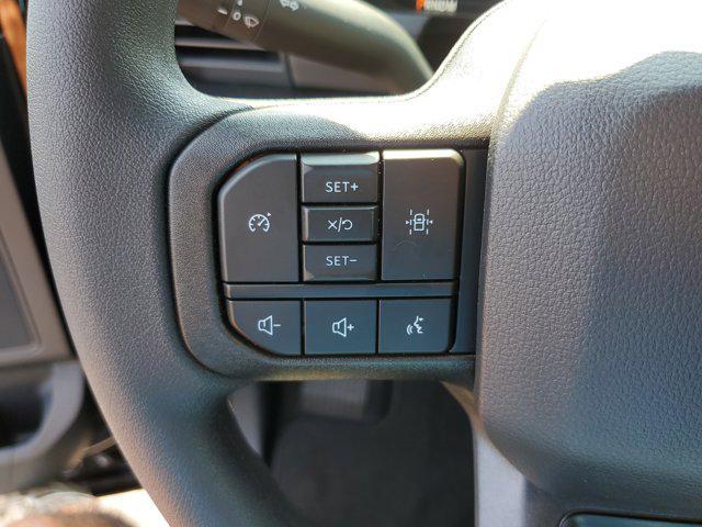 Photo of 2025 Agate Black Metallic Ford F-150