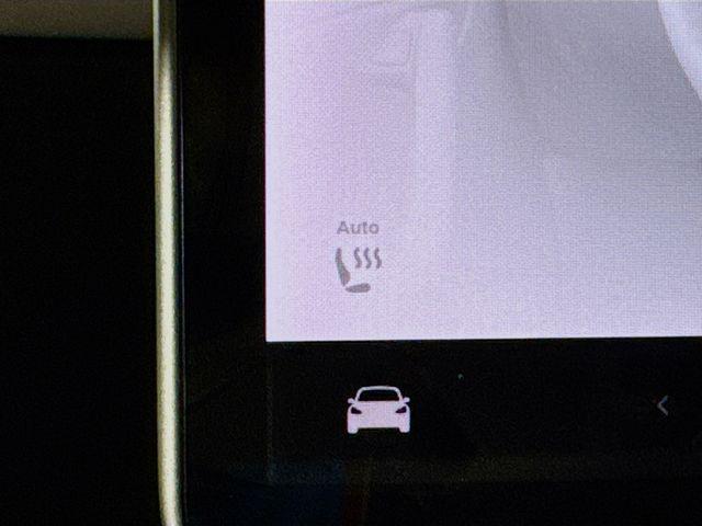 Photo of 2020 Pearl White Multi-Coat Tesla Model 3