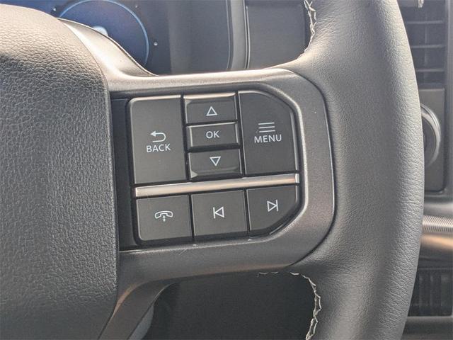 Photo of 2025 Silver Metallic Ford F-150