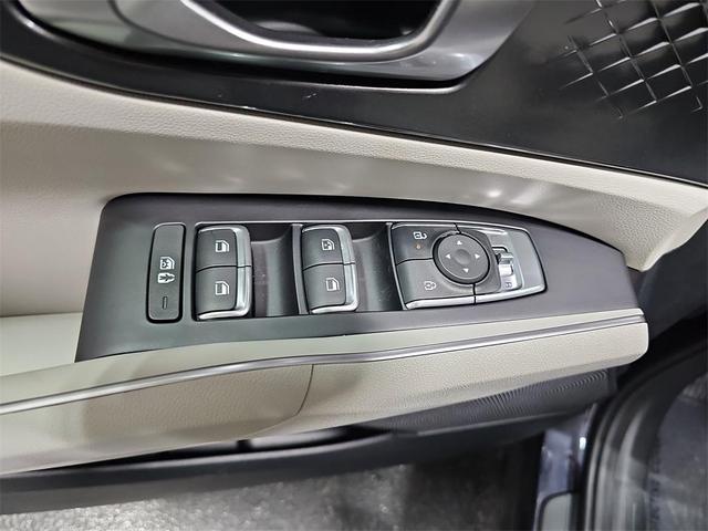 Photo of 2025 Panthera Metal Kia Sorento