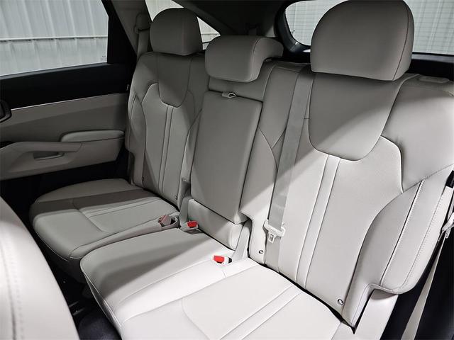 Photo of 2025 Panthera Metal Kia Sorento