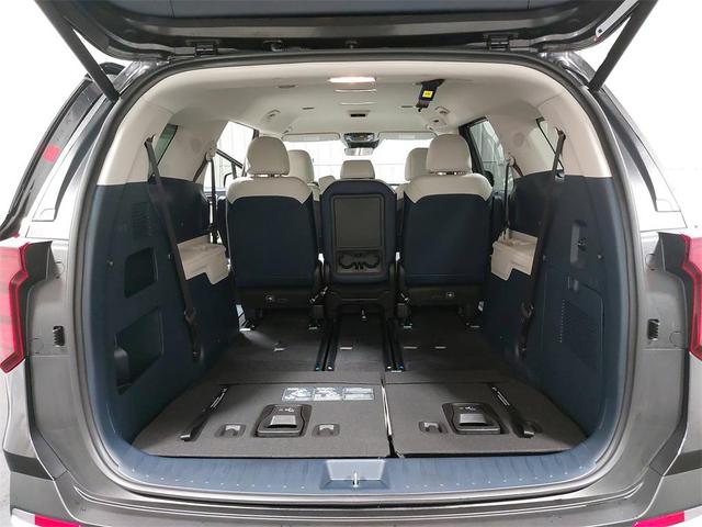 Photo of 2026 Panthera Metal Kia Carnival