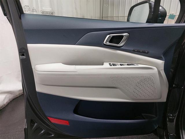 Photo of 2026 Panthera Metal Kia Carnival
