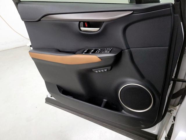 Photo of 2019 White Lexus NX 300