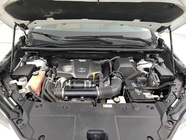 Photo of 2019 White Lexus NX 300