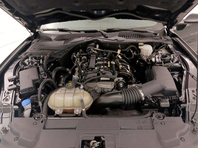 Photo of 2022 Black Ford Mustang
