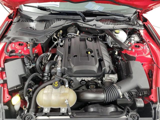 Photo of 2019 Red Ford Mustang