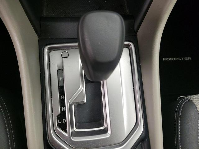 Photo of 2019 White Subaru Forester