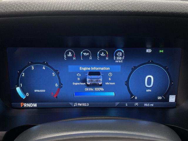 Photo of 2024 Avalanche Gray Ford F-150