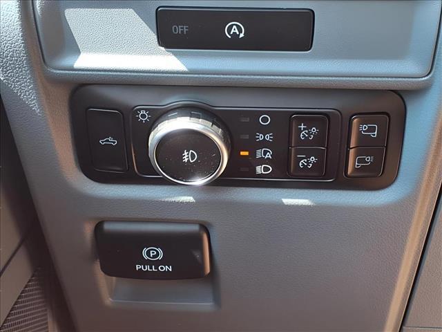 Photo of 2025 Carbonized Gray Metallic Ford F-150