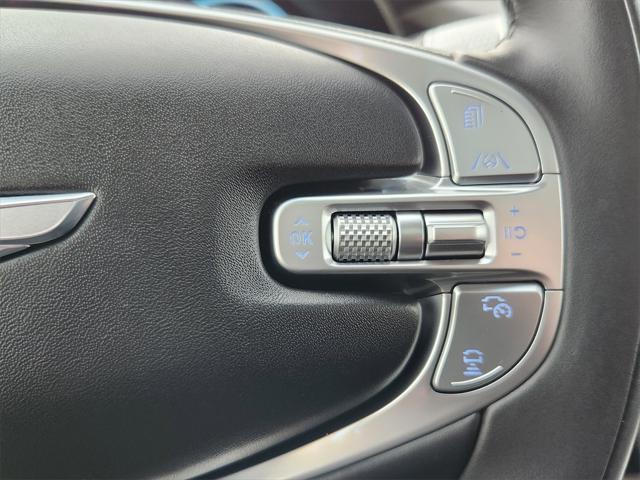 Photo of 2024 Vik Black Genesis GV80