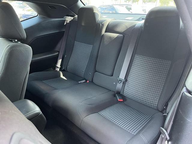 Photo of 2023 Frostbite Dodge Challenger