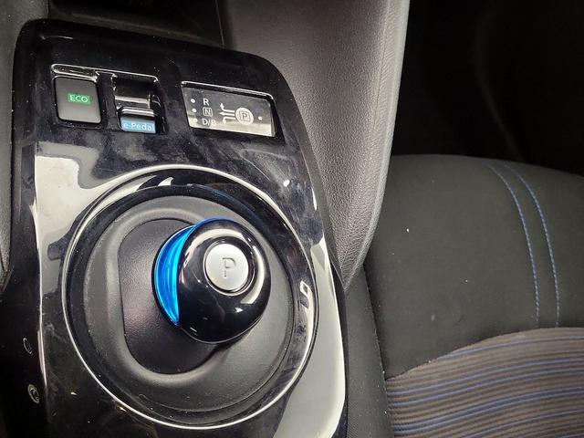 Photo of 2019 Blue Nissan Leaf
