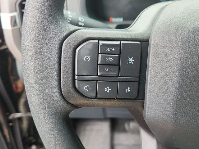 Photo of 2025 Agate Black Metallic Ford F-150