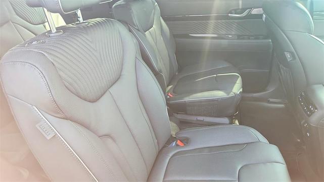Photo of 2025 Typhoon Silver Hyundai PALISADE