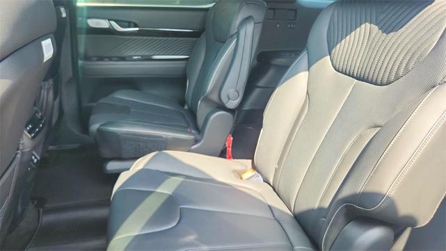 Photo of 2025 Typhoon Silver Hyundai PALISADE