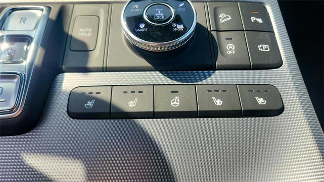 Photo of 2025 Typhoon Silver Hyundai PALISADE