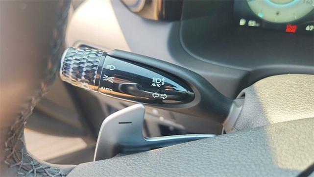 Photo of 2025 Typhoon Silver Hyundai PALISADE