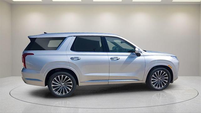 Photo of 2025 Typhoon Silver Hyundai PALISADE