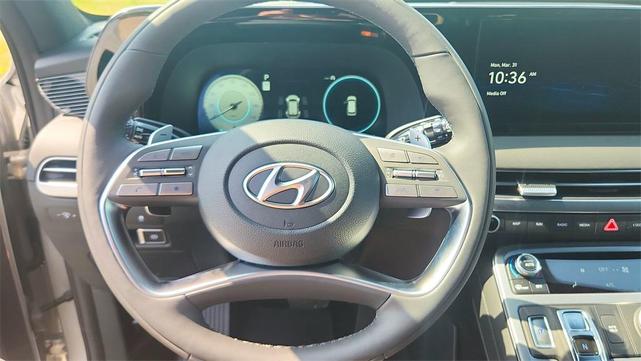 Photo of 2025 Typhoon Silver Hyundai PALISADE