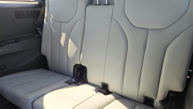 Photo of 2025 Typhoon Silver Hyundai PALISADE