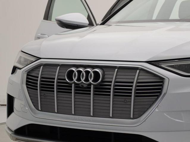 Photo of 2019 Glacier White Audi e-tron