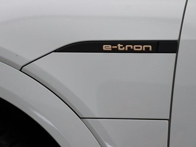 Photo of 2019 Glacier White Audi e-tron