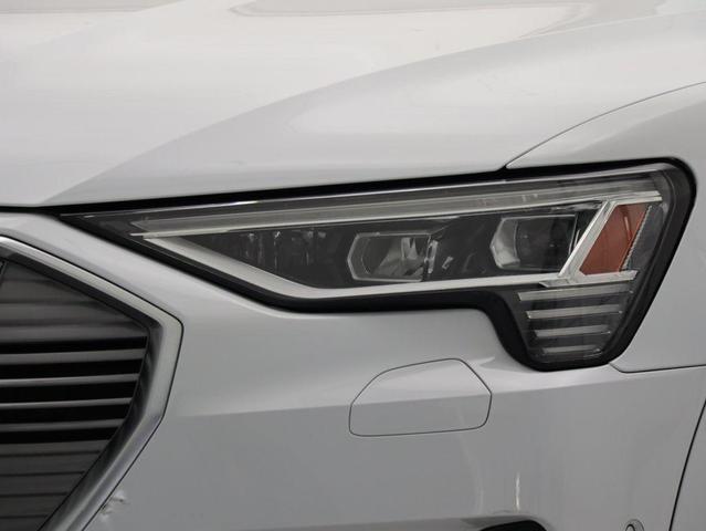 Photo of 2019 Glacier White Audi e-tron