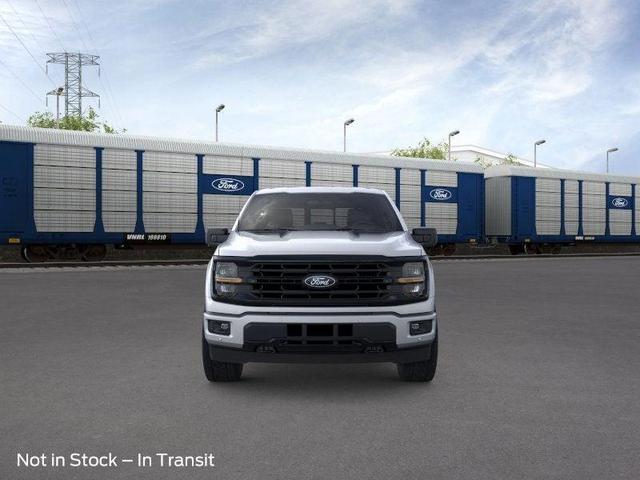 Photo of 2025 Silver Ford F-150