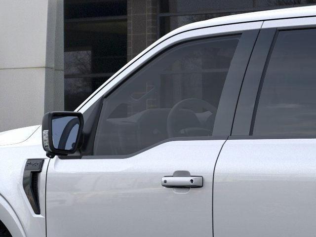 Photo of 2025 Silver Ford F-150