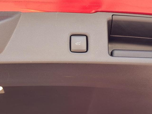 Photo of 2022 Rapid Red Metallic Tinted Clearcoat Ford Escape