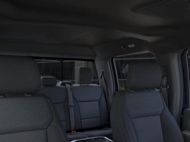 Photo of 2025 Black Ford F-150