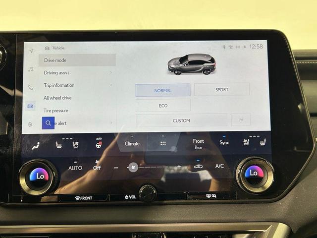 Photo of 2023 Nebula Gray Pearl Lexus RX 350