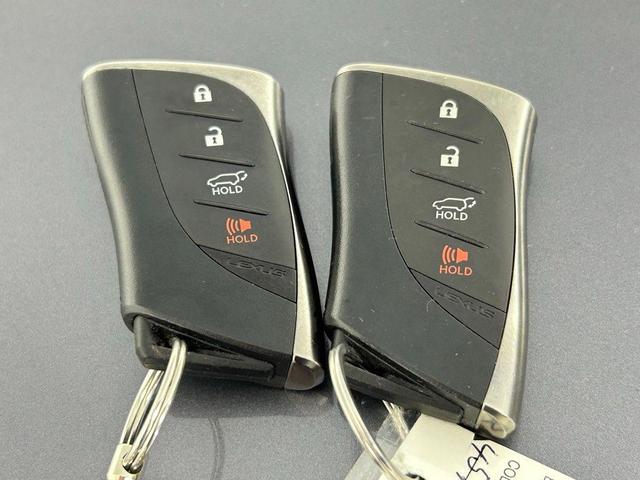 Photo of 2023 Nebula Gray Pearl Lexus RX 350