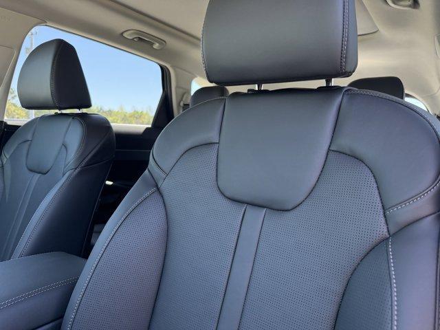 Photo of 2025 Ebony Black Kia Sorento