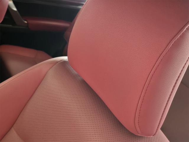 Photo of 2023 Atomic Silver Lexus GX 460