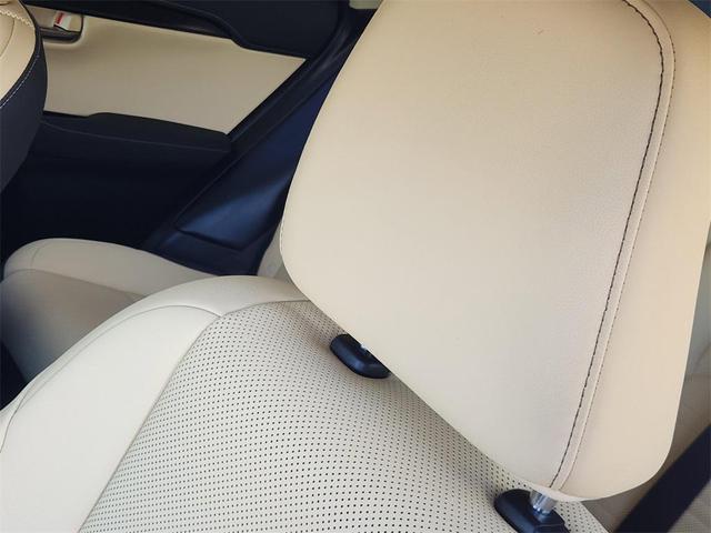 Photo of 2020 Atomic Silver Lexus NX 300
