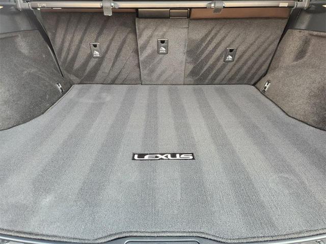 Photo of 2023 Nebula Gray Pearl Lexus RX 350