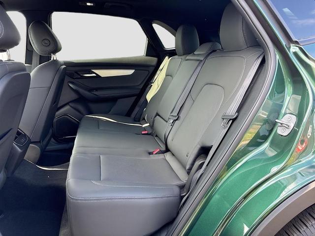 Photo of 2025 Green VinFast VF 8