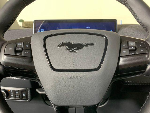 Photo of 2025 Shadow Ford Mustang Mach-E