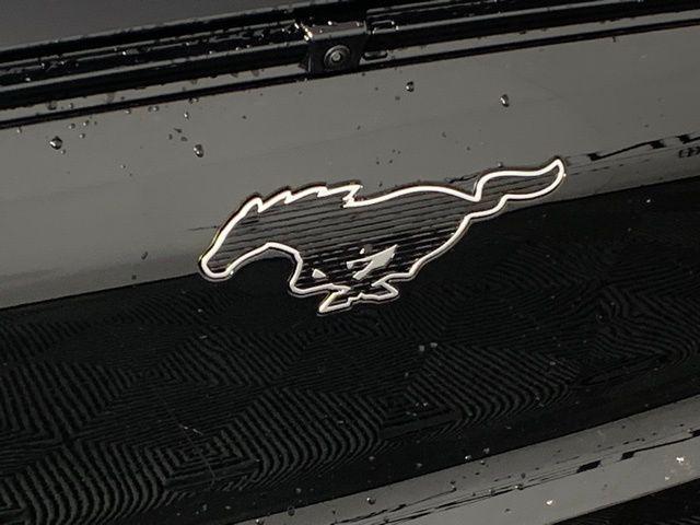 Photo of 2025 Shadow Ford Mustang Mach-E