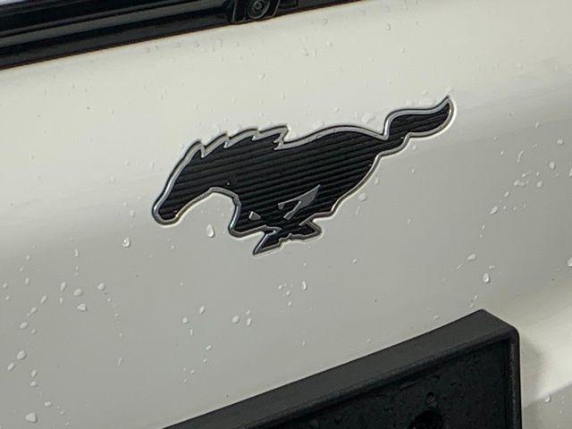 Photo of 2022 White Metallic Ford Mustang Mach-E