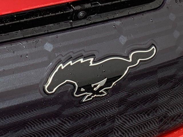 Photo of 2024 Red Metallic Ford Mustang Mach-E