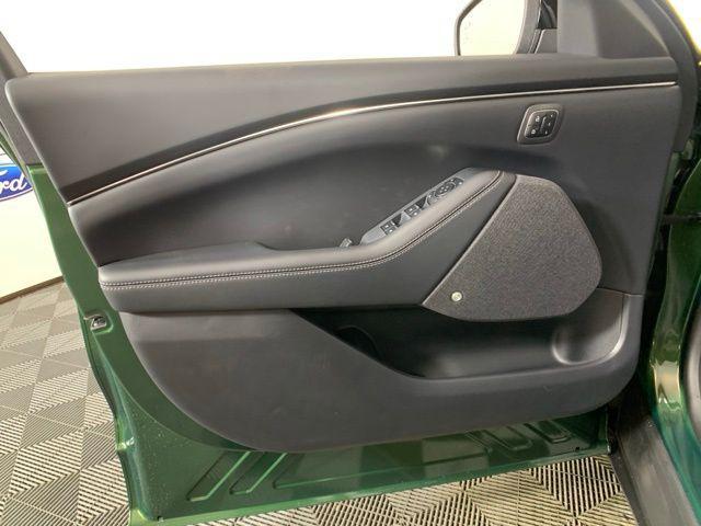 Photo of 2025 Eruption Green Metallic Ford Mustang Mach-E