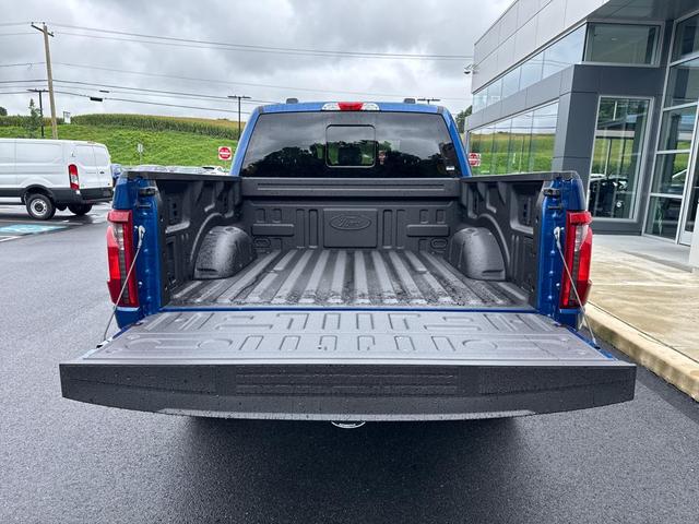Photo of 2025 Blue Ford F-150