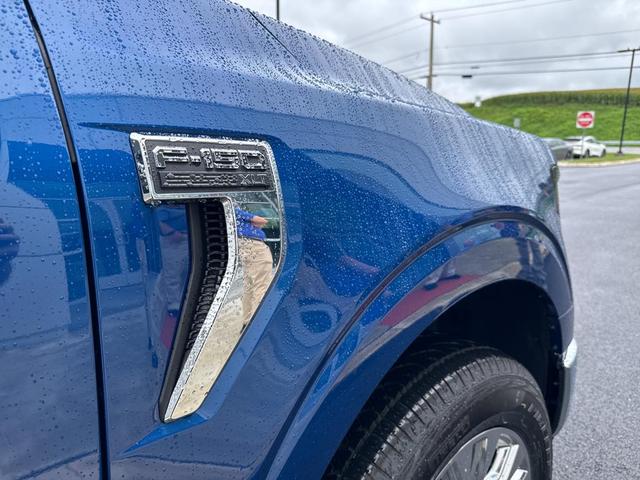 Photo of 2025 Blue Ford F-150