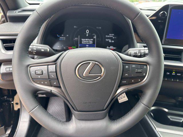 Photo of 2025 Obsidian Lexus UX 300h