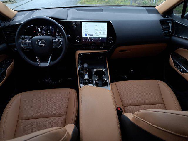 Photo of 2024 Nori Green Pearl Lexus NX 250
