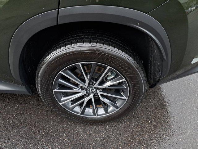 Photo of 2024 Nori Green Pearl Lexus NX 250
