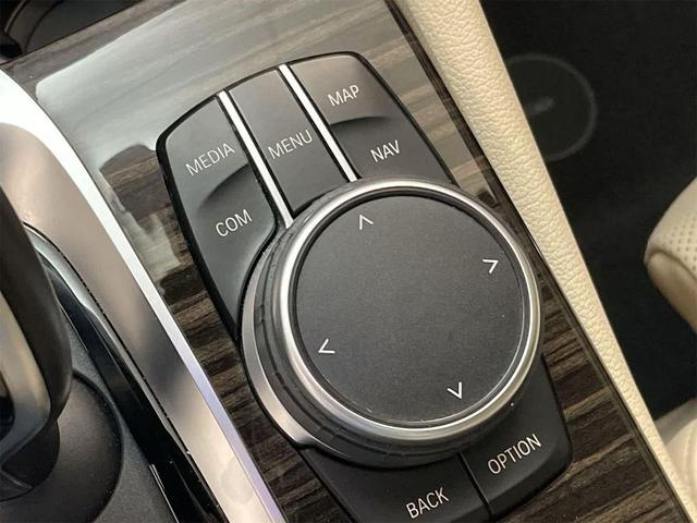 Photo of 2021 Phytonic Blue Metallic BMW 530